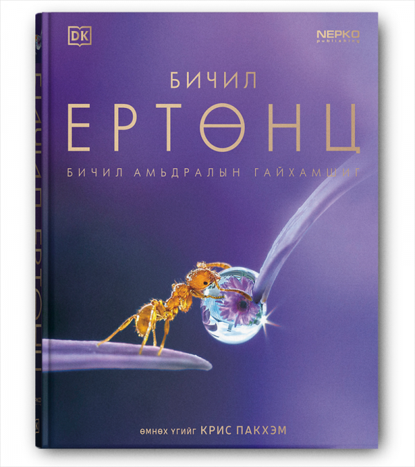 Бичил ертөнц